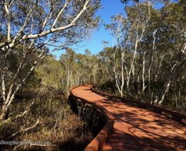 1 Day Trip to Coombabah from Kelvin Grove