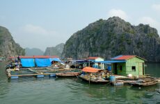 3 days Itinerary to Hạ long bay from Cẩm Phả