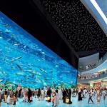 The Dubai Mall Aquarium