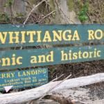 Whitianga Rock