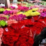 Pak Khlong Flower Market
