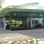 Sarawak Orchid Garden