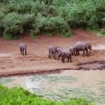 Mwaluganje Elephant Sanctuary