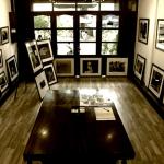 Long Thanh Gallery