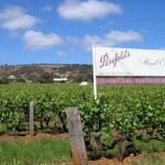 Penfolds Magill Estate Winery