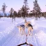 Active Lapland