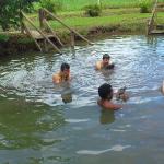 Sabeto Hot Springs And Mud Pool