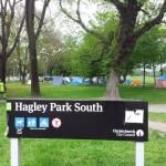 Hagley Park