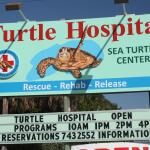 The Turtle Hospital