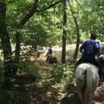 Bear Creek Trail Rides And Stable