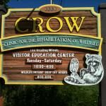 Clinic For The Rehabilitation Of Wildlife Crow