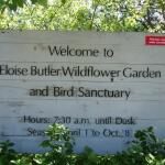 Eloise Butler Wildflower Garden