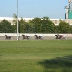 Red Shores Racetrack And Casino