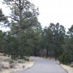 Cibola National Forest