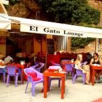 El Gato Lounge