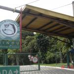 Parque Do Mindu