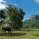 Sigiriya Elephant Ride