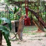 Malacca Zoo
