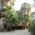 Coachella Valley Preserve