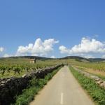 Burgundy Evasion Bike Tours