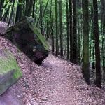 The Pflaz Wald Nature Park