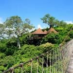 Yalong Bay Tropical Paradise Forest Park