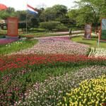 International Horticultural Expo Garden