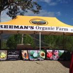 Freemans Organic Farm