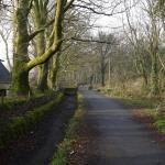 Plym Valley Cycle Trail