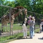 Kaliningradsky Zoopark