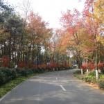 Hunan Forest Botanical Garden