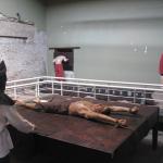 Museum Of The Inquisition
