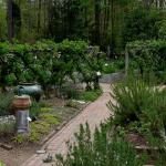 North Carolina Botanical Garden