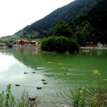 Uzungol Lake