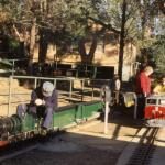 Willans Hill Miniature Railway