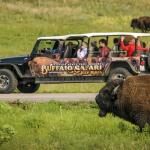 Buffalo Safari Jeep Tour