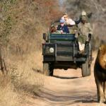 Pilanesberg Safaris