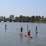 Three Brothers Boards Dolphin And Manatee Paddle Board Tours