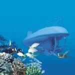 Maui Undersea Adventures