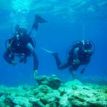 Blue Paradise Scuba Diving Centre
