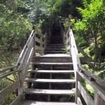 Filbert Steps And Grace Marchant Gardens