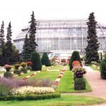 Dahlem Botanical Garden And Botanical Museum