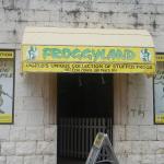 Froggyland Museum