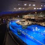 Sumida Aquarium