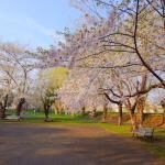 Noshi Park