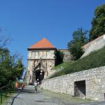 Sigismund Gate