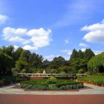 United States National Arboretum