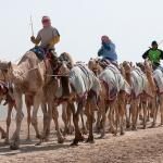 Al Shahaniya Racetrack