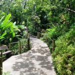 Hilo Tropical Gardens