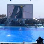 Port Of Nagoya Public Aquarium